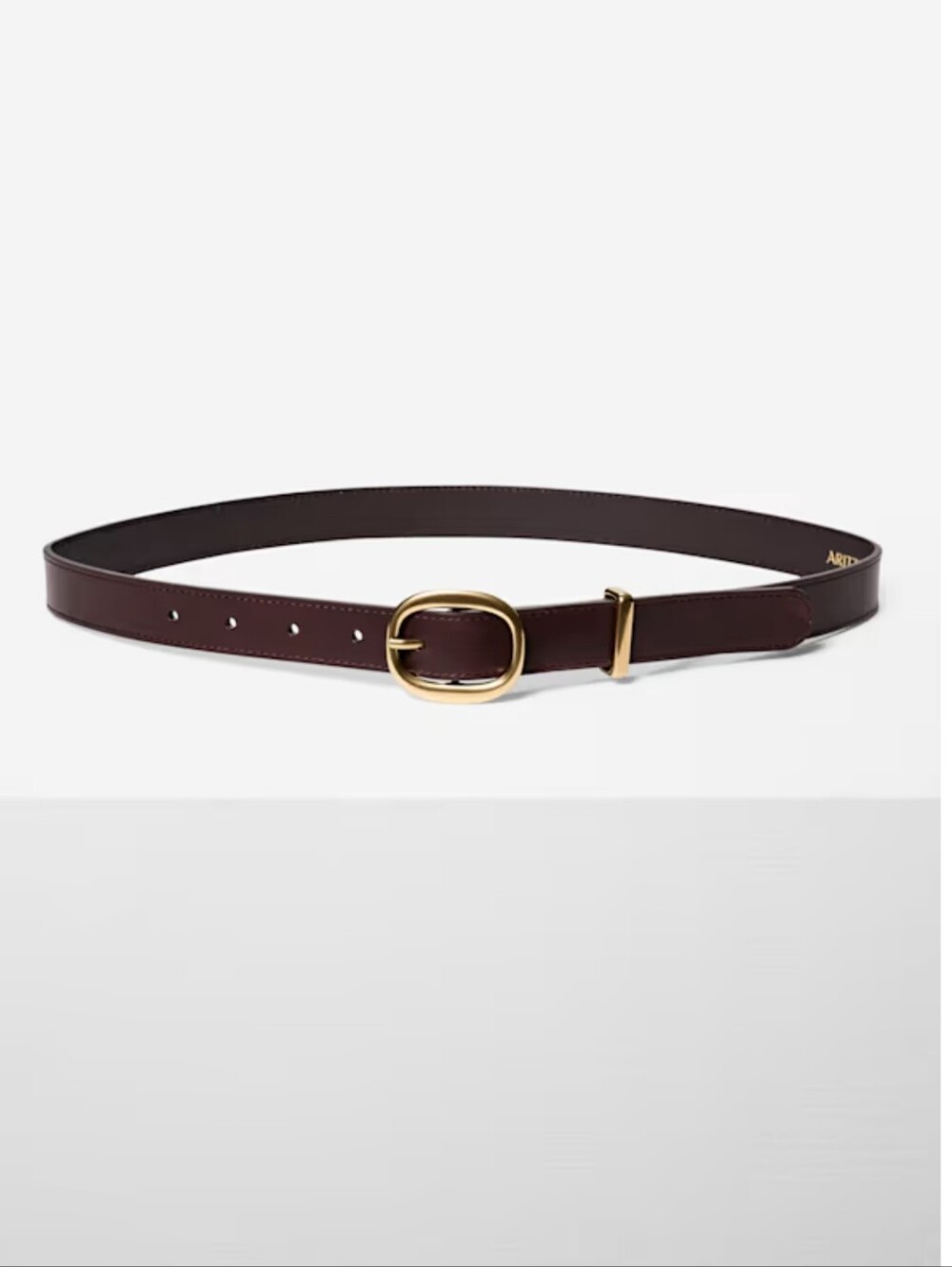 NWT Aritzia Lifetime Leather Belt In Dark Brown And Gold